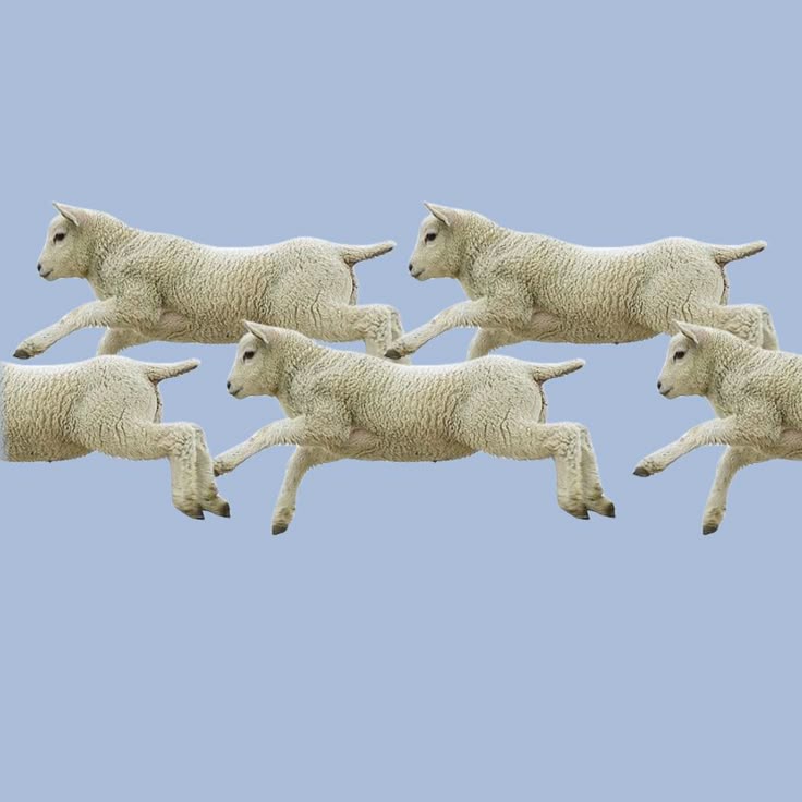 The image for the event named OTLEY RUN with Manchester and York Welsh socs