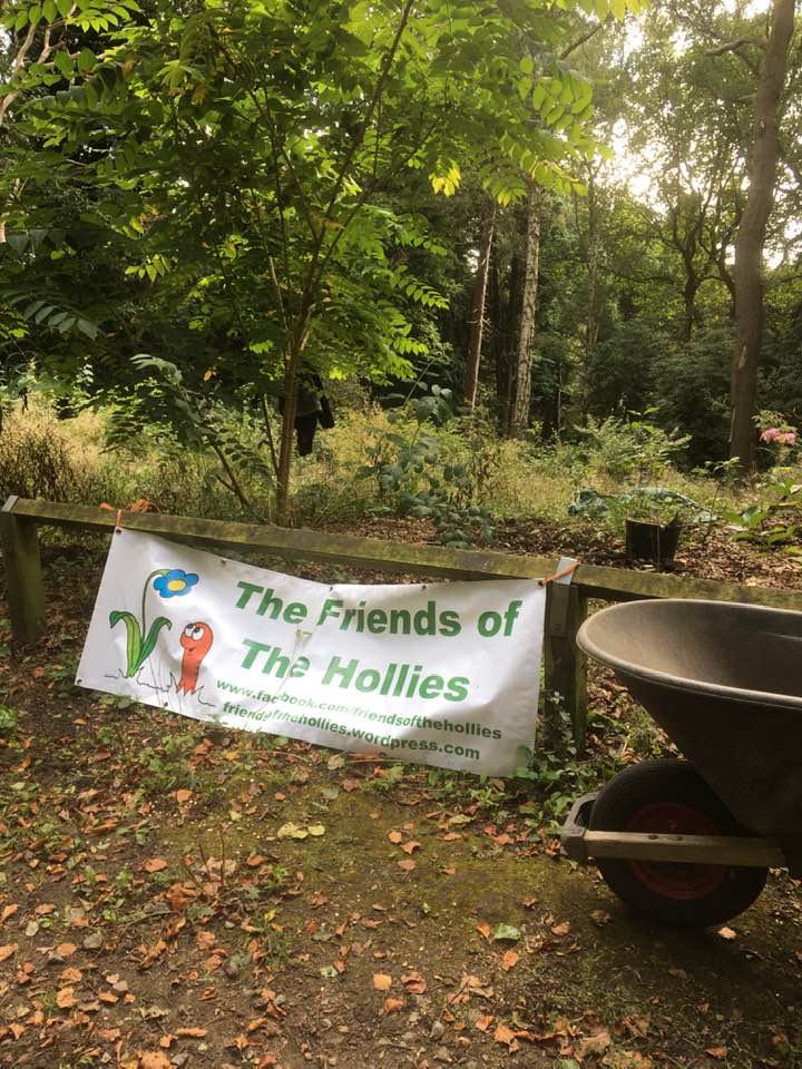 The image for the event named Friends of the Hollies Volunteer Morning
