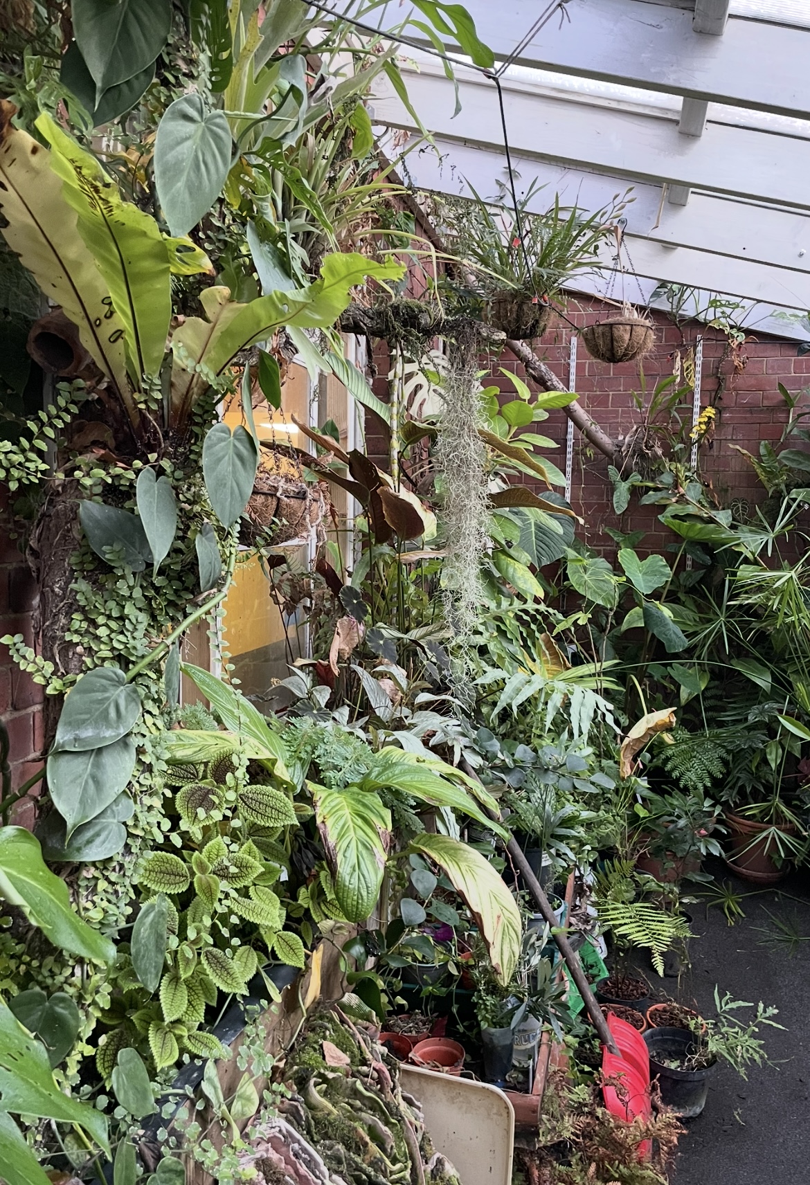 The image for the event named Greenhouse Chop & Prop Session