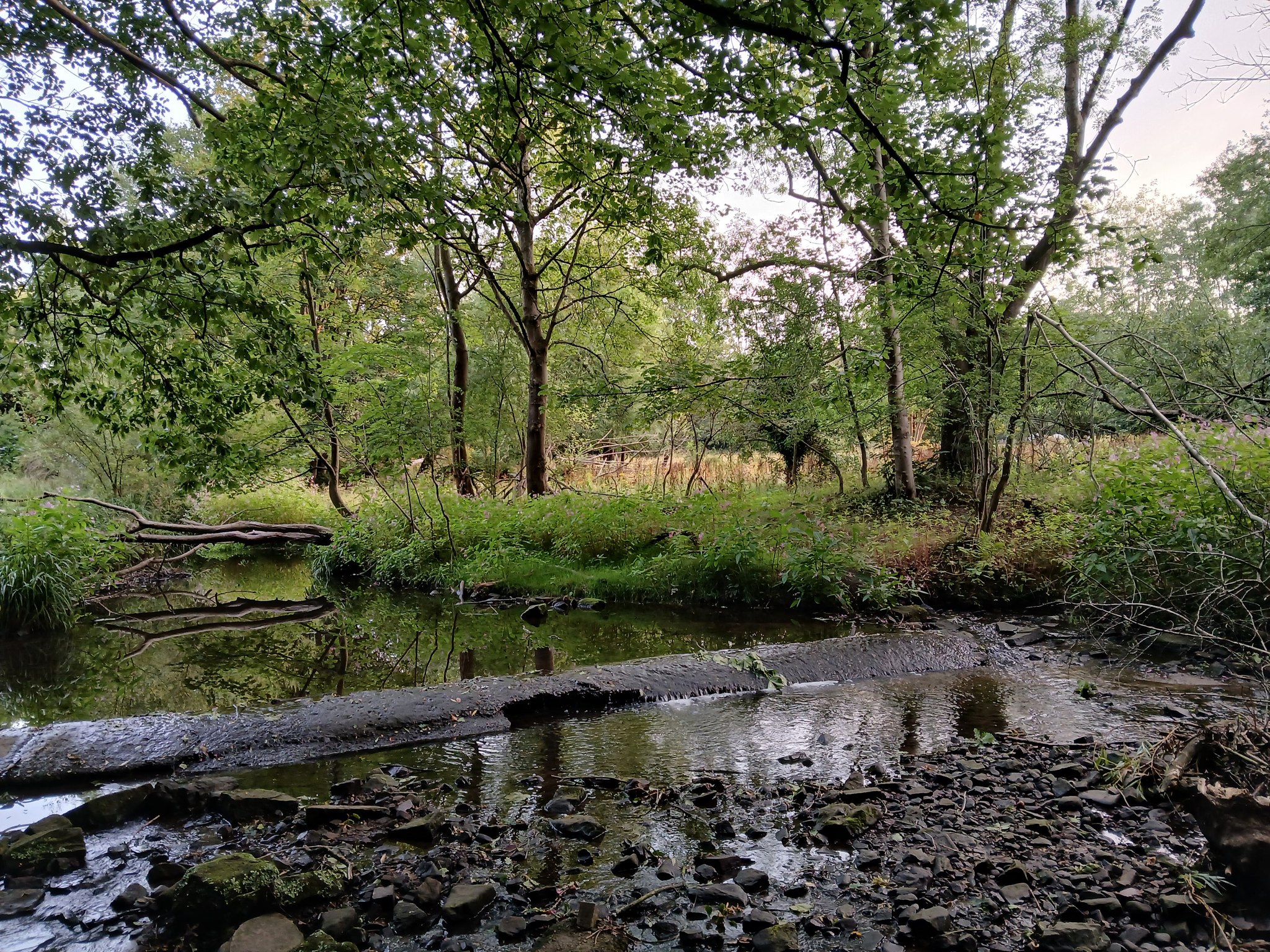 The image for the event named Woodhouse Ridge Action Group Volunteer Day