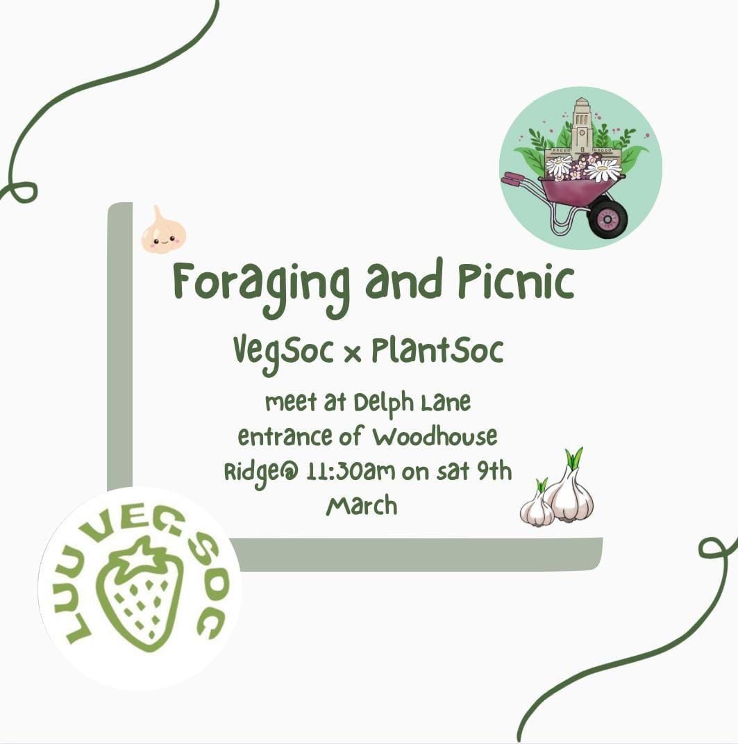 Plant x Veg Forage & Picnic