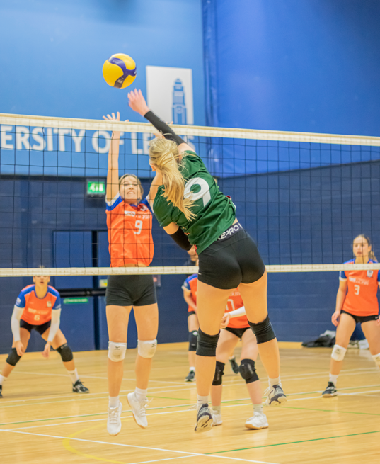 The image for the event named Try Social Volleyball with Active Campus