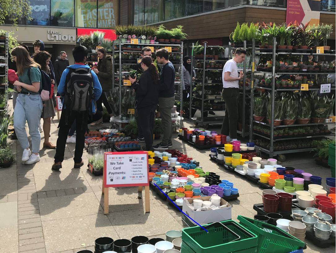 The image for the event named Plant Sale