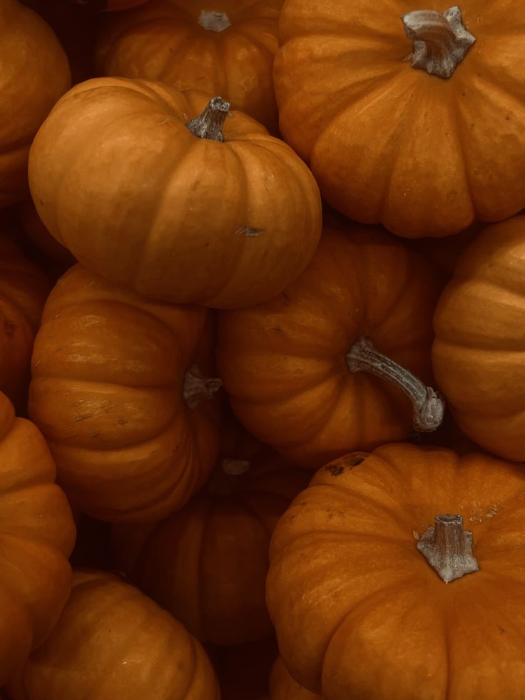 The image for the event named Pumpkin Painting