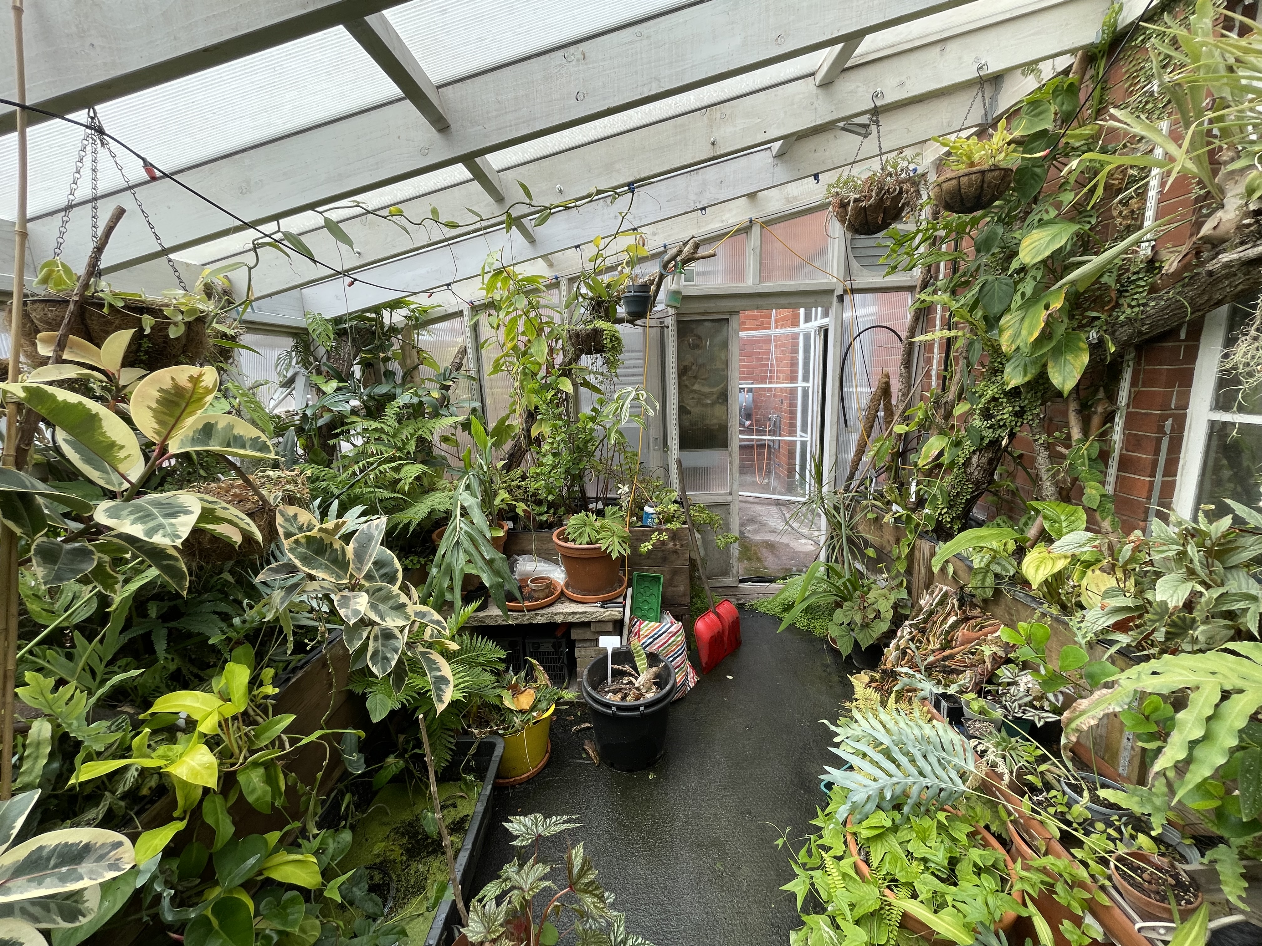 The image for the event named Green House Chop & Prop Session