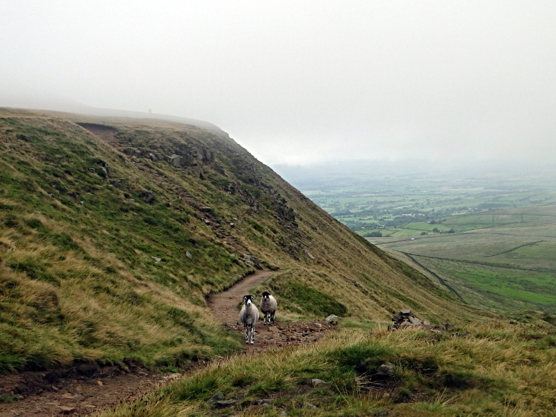 The image for the event named Barley Sunday Hike
