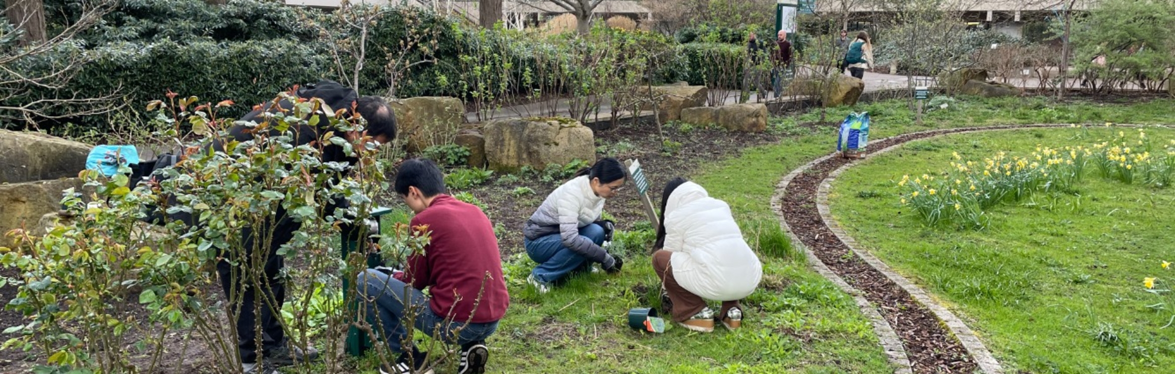 The image for the event named Campus Gardening Sessions