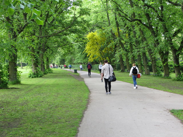 The image for the event named Woodhouse Walk